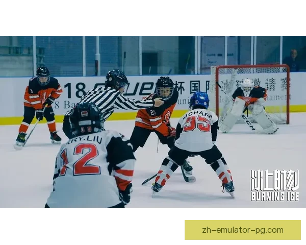 冰球世界纪录大揭秘：惊人数据背后的精彩故事