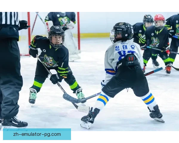 冰球训练全解析：提高技术、加强身体、增强心理，全方位拓展实战能力