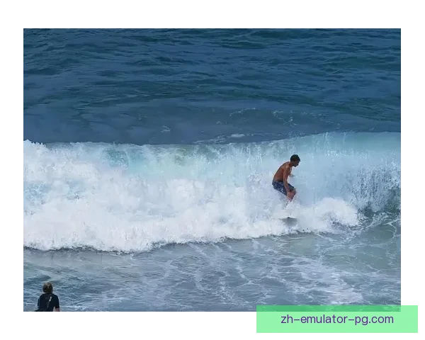 冲浪达人榜单：掌握海浪，征服冲浪世界