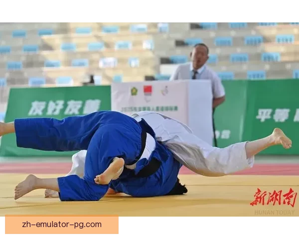 柔道联赛：挑战与荣耀