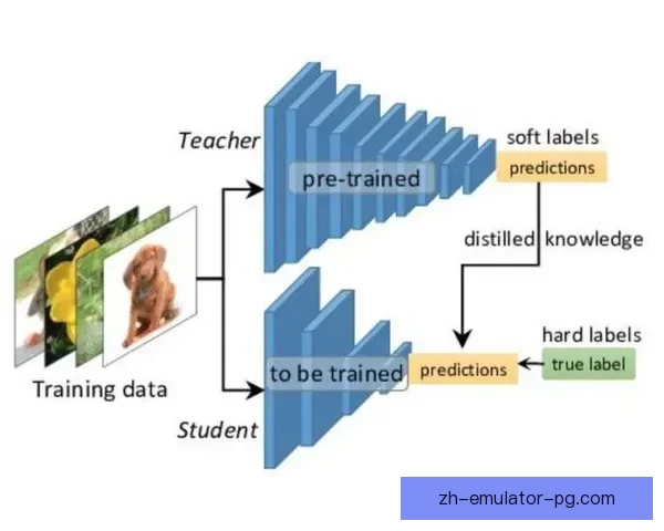 柔道比赛预测：智能算法助您轻松揭晓胜负