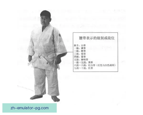 柔道大师传授精湛技艺,共绘武道传统之美 柔道大师传授精湛技艺,共绘武道传统之美