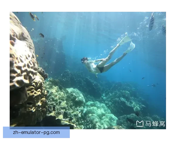 潜入深海跳水直播：冠军之路震撼开启