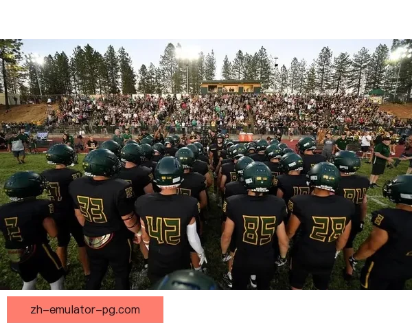 橄榄球盛事：巅峰对决，风云再起