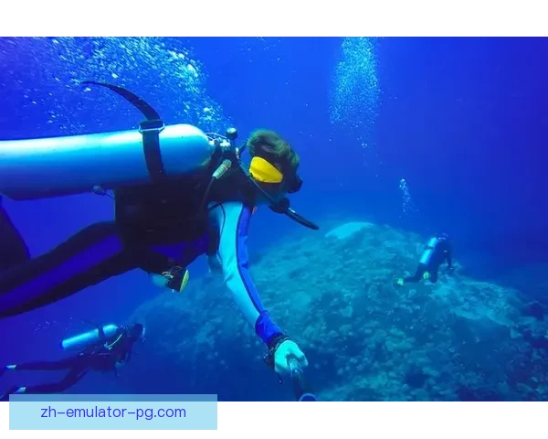 泳池热潮：畅游直播带你探索水下世界