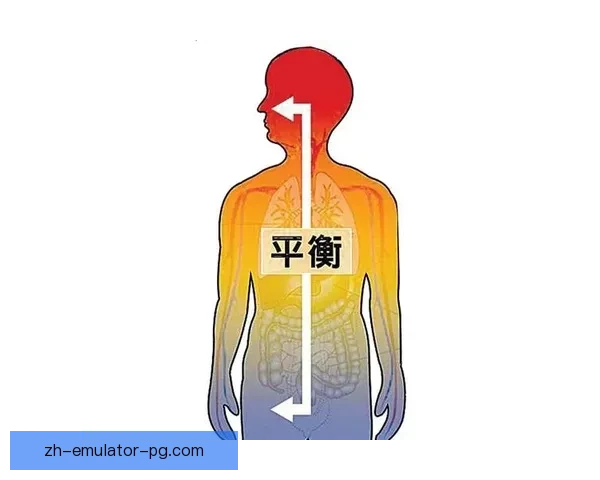 瑜伽盘口分析：呼吸、体位、冥想共振，探索身心灵平衡之道