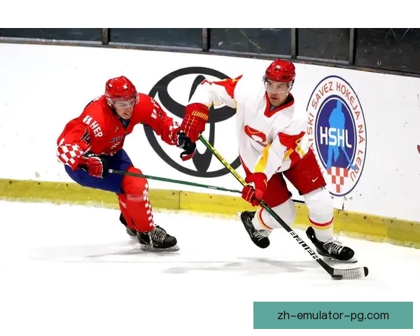 燃情冰场：冰球锦标赛风云再起