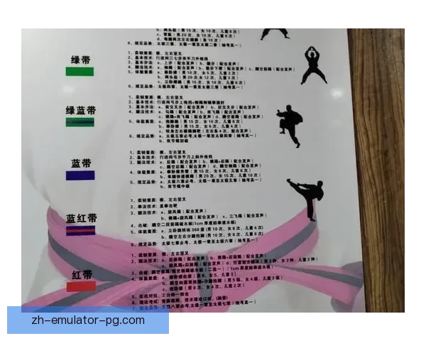 跆拳道规则解析与实战技巧分享