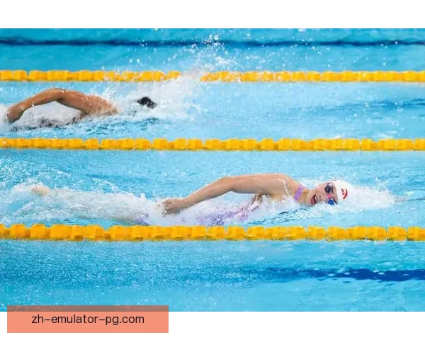 跳水运动综述及规则详解