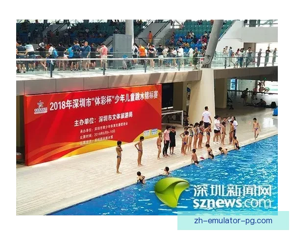 跳水技术要领及比赛策略分析总结